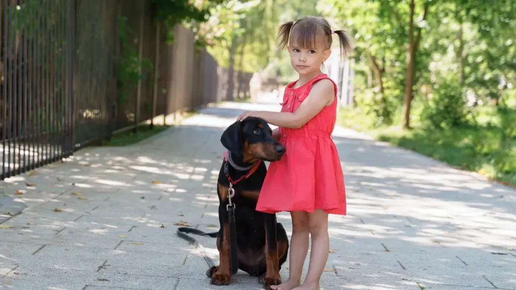 Is The Doberman Pinscher Good With Young Children?